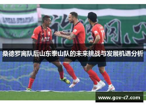 桑德罗离队后山东泰山队的未来挑战与发展机遇分析